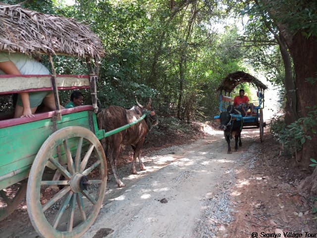 Sigiriya Village Tour