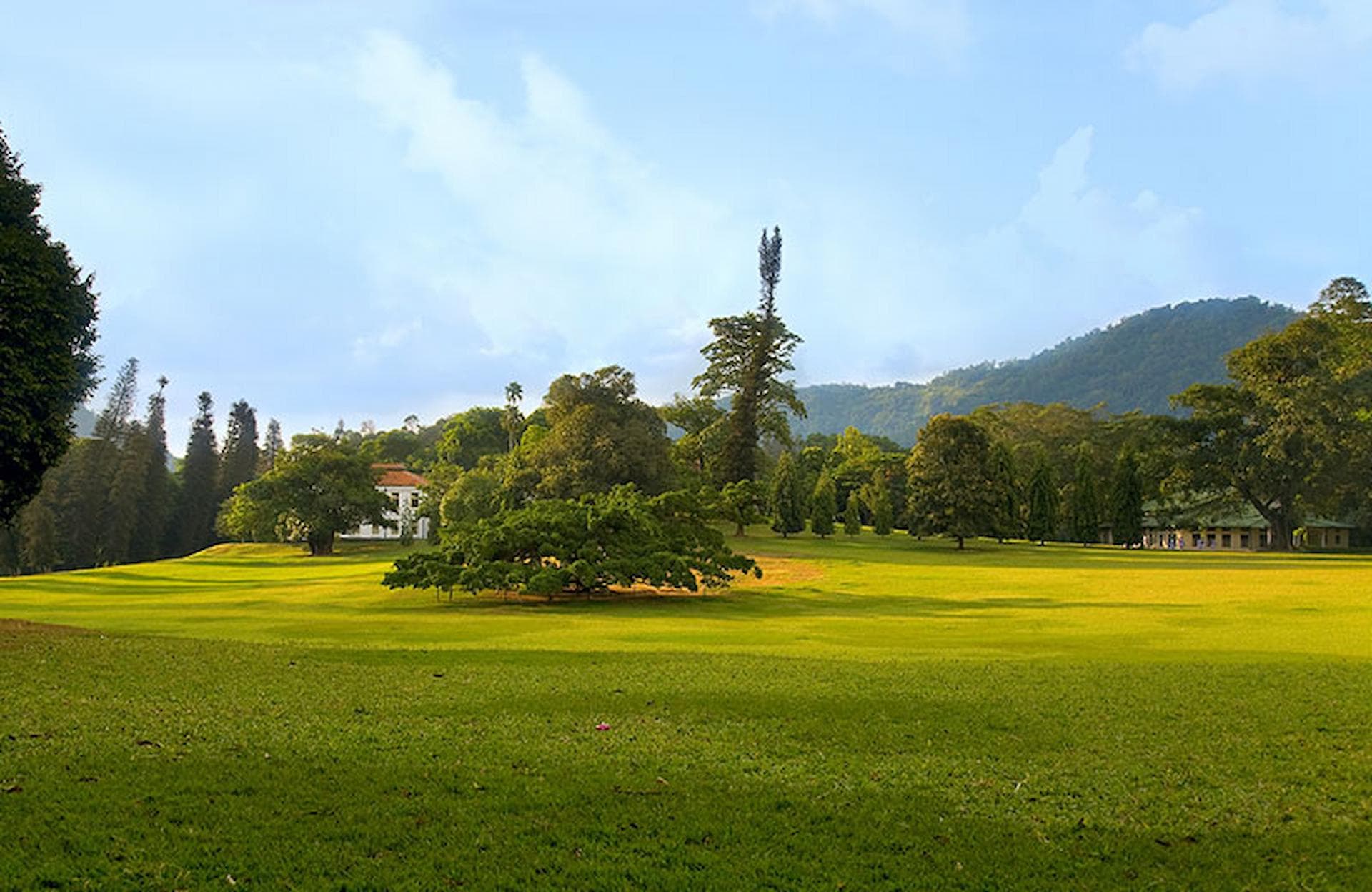 Royal Botanical Gardens